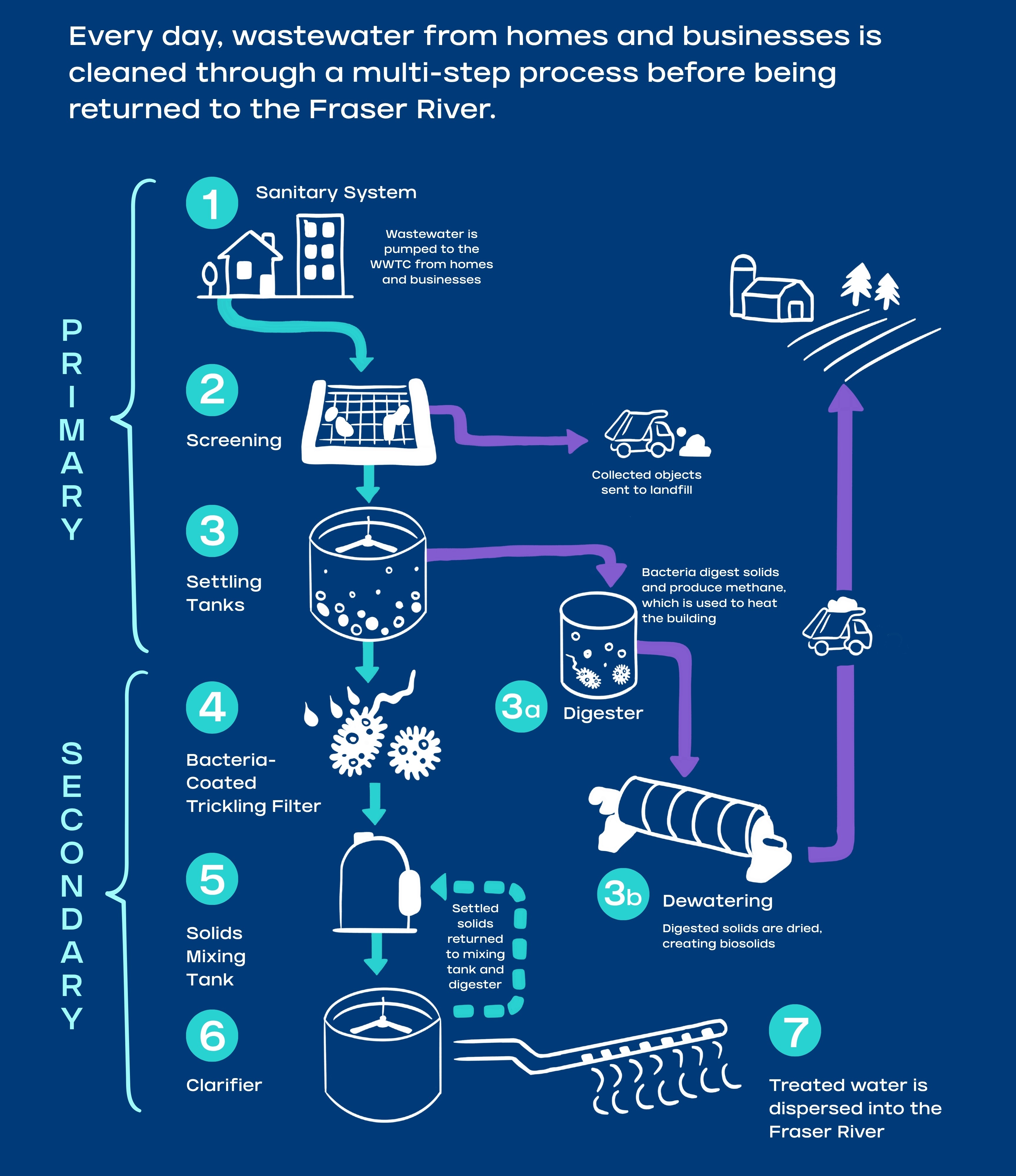 A diagram of the process for treating wastewater before it is released into the Fraser River