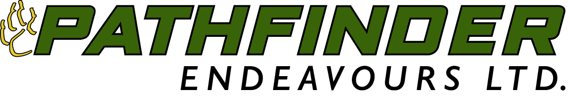 PATHFINDER ENDEAVOURS LTD logo