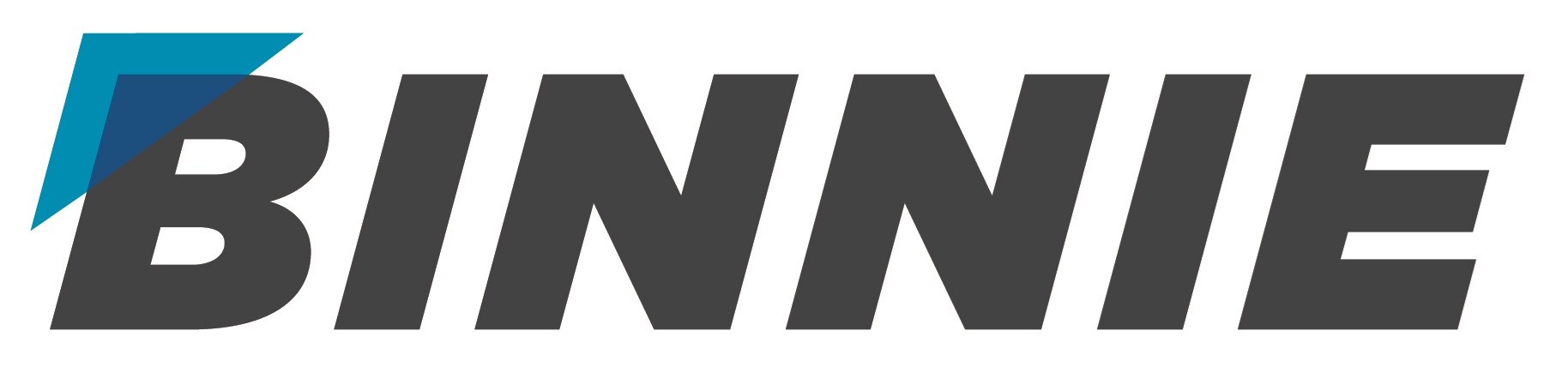 R F BINNIE & ASSOCIATES LTD logo