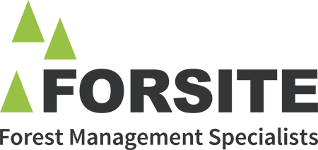 FORSITE PROPERTIES logo