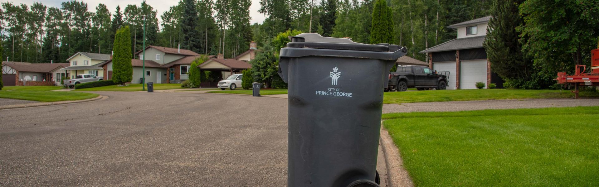 A garbage collection cart at the curb on a residential street