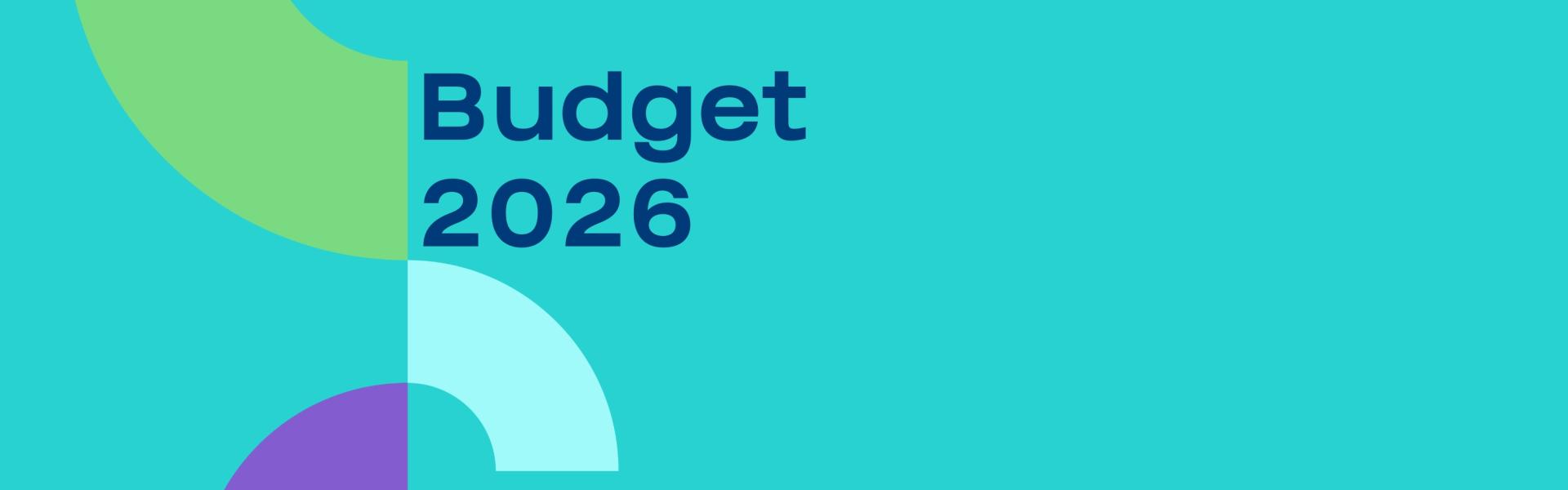 Budget Graphic