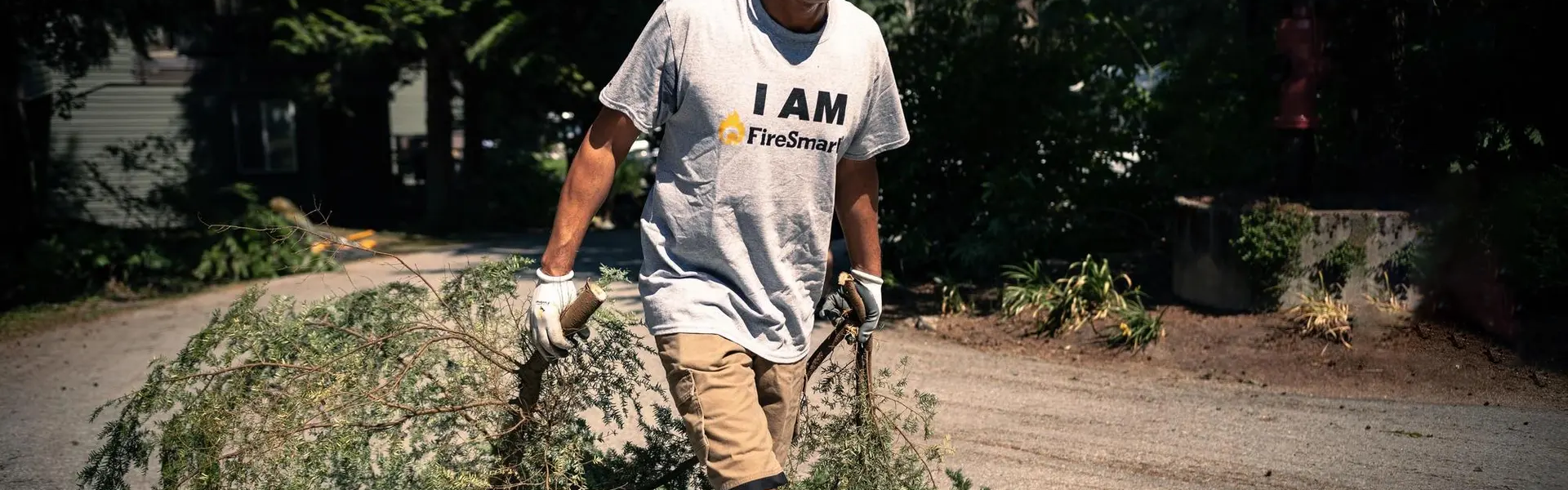 Person wearing "I Am FireSmart" t-shirt while dragging two large coniferous tree branches