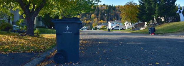 A garbage bin outside a house on a residential street in the autumn.