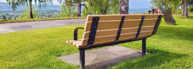 A photograph of a park bench at Connaught Hill Park on a summer day.