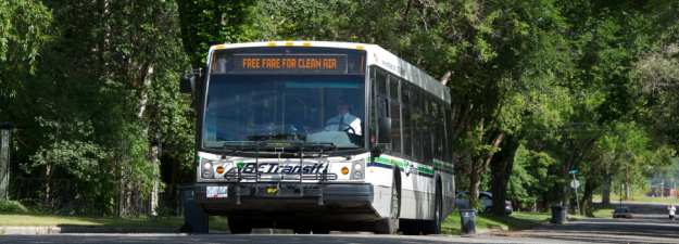 A bus driving down a residential street shaded by trees on a sunny summer day. The bus display reads "free fare for clean air"