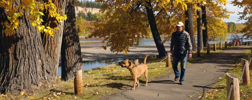 A man walking his dog on a park trail in the autumn.
