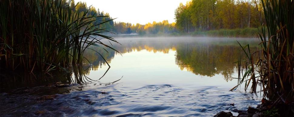 Morning mist settling over the water at the Hudson's Bay Wetlands.