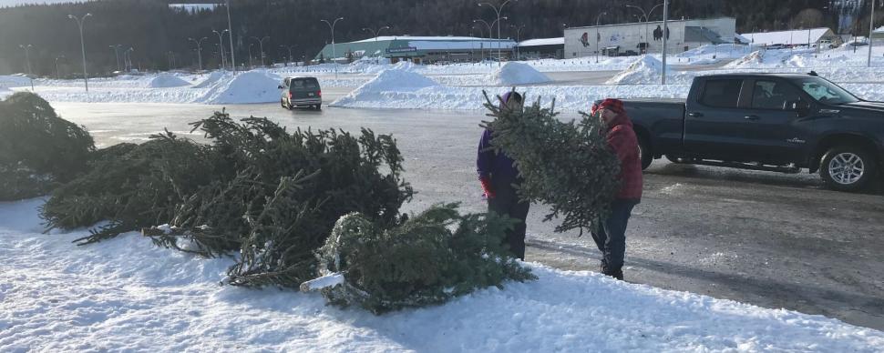 Christmas trees piled in the CN Centre parking lot at the Christmas tree recycling event in 2020