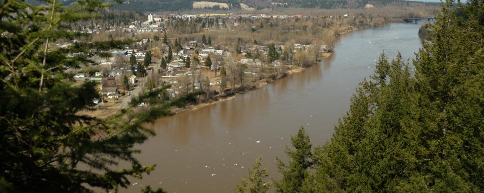 Fraser River. Murky brown water with small ice chunks floating downstream. Green conifer trees in foreground.