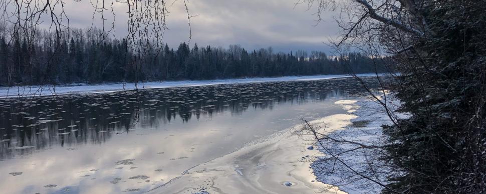 A semi-frozen river with deciduous tree in foreground