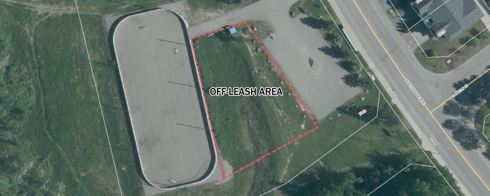 a birdseye map of the southridge ice rink in College Heights showing a red rectangle next to the rink on park land that will be the new dog park area