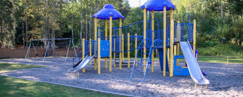 Blue and yellow playground equipment and swing set surrounded by trees and green grass.
