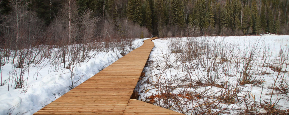 a photo showing new boardwalk in amongst a snowy path
