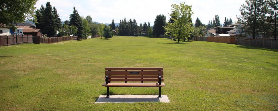 Park bench on a grassy field