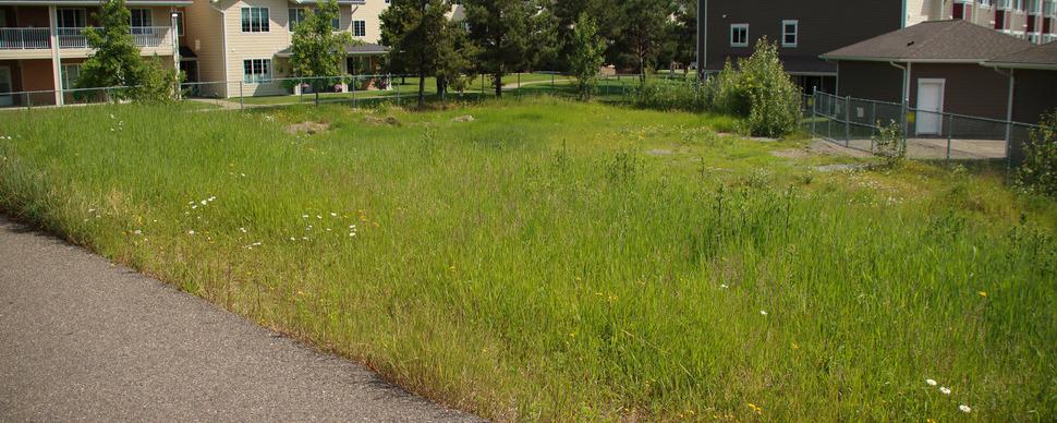 Small grassy field next to pathway