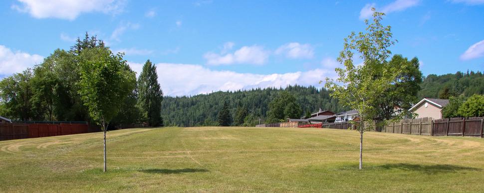 A grassy field surrounded by fenced yards