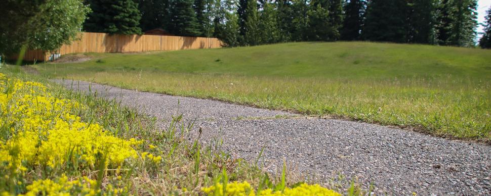 Grassy field next to pathway