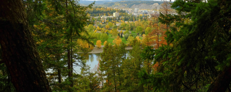 View of the City from LC Gunn park surrounded by trees