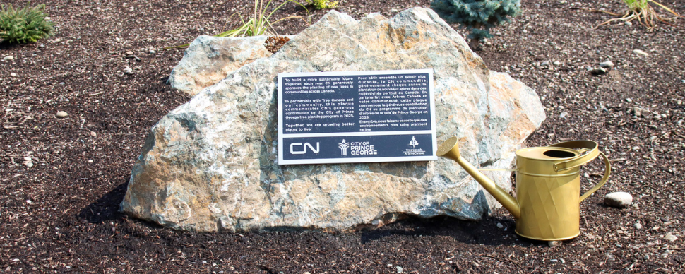 A plaque in the garden at Connaught Hill Park recognizes a CN and Tree Canada grant. 