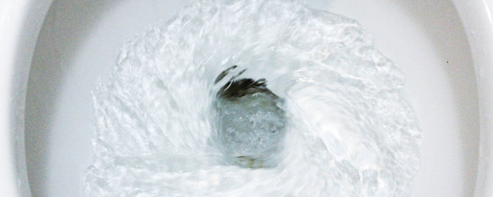 Closeup of the inside of a toilet flushing clean water down the drain