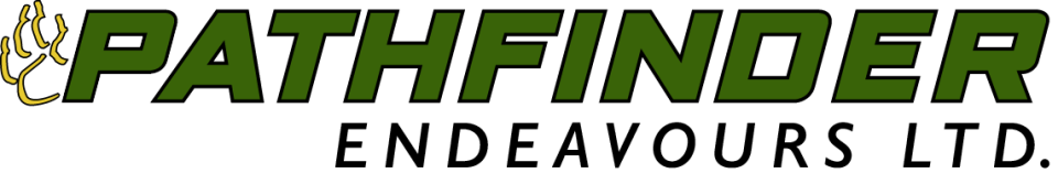 PATHFINDER ENDEAVOURS LTD logo