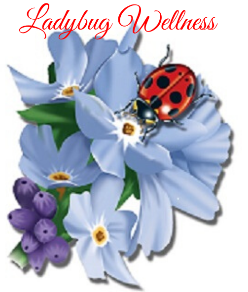 LADYBUG WELLNESS logo